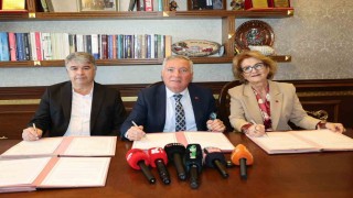 Denizlide 3 belediye 2 bin sokak hayvanı için 30 bin dönümlük yuva kuruyor