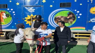 Diclede çocuklar pony atlarla buluştu