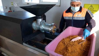 Didimde her geri dönüşüm, can dostlara umut olacak