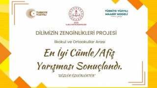 Dilimizin Zenginlikleri Projesinde en iyi cümle ve afişler belli oldu