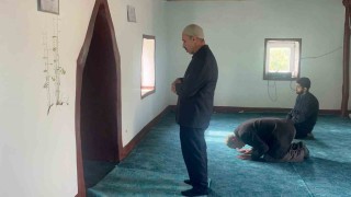 Diyarbakırda bir caminin mihrap kısmındaki duvardan çıkan bitkinin yaprakları yeşerdi