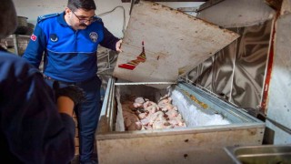 Dönerciden kurtlu salça ve turşu çıktı