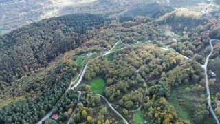 Düzce ormanlarında renk cümbüşü yaşanıyor