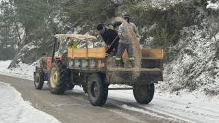 Düziçi Beyaza Büründü: Kar Yağışı Ulaşımı Olumsuz Etkiledi