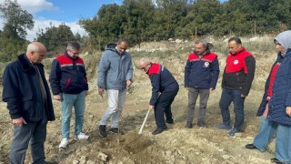 Eğirdir Gölündeki kuraklık tarımda yön değiştirdi