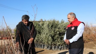 Elazığda fidancılık işletmelerine denetim