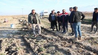 Erzincanda 111 bin tuz çalısı toprakla buluşturuldu
