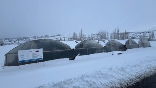 Erzincanda kuvvetli kar yağışı uyarısı