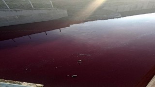 Esenyurtta derenin rengi kırmızıya döndü