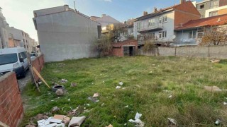 Eskişehirde boş arsada 8 ölü kedi bulundu