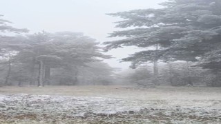 Eskişehire mevsimin ilk karı yağdı