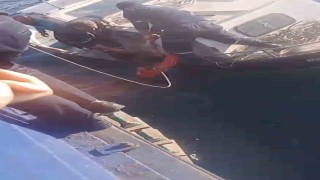 Feribottan atlayan kişiyi Gestaş personelleri ve balıkçılar kurtardı