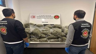 Fransadan Yalovaya gemiyle gelen tırda 37 kilo uyuşturucu ele geçirildi