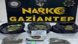 Gaziantepte 22 kilo skunk ile çok sayıda silah ele geçirildi: 7 gözaltı