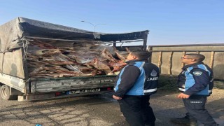 Gaziantepte kamyonet kasasında kilolarca bozuk et ele geçirildi
