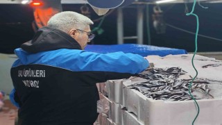 Geliboluda 45 kilo balığa el konuldu, 37 bin 770 lira para cezası kesildi