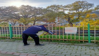 Germencikte izinsiz afişlere zabıta müdahalesi
