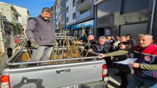 Germencikte üreticiye 4 bin sertifikalı fidan desteği