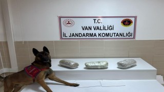 Gevaşta 3 kilo esrar ele geçirildi