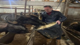 Giresunda 286 manda işletmesine 12,3 milyon TL destek