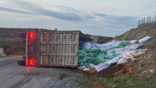 Gördeste yem yüklü tır devrildi: 1 yaralı