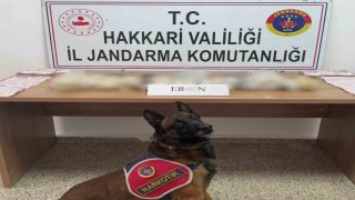 Hakkaride 5 kilo 815 gram eroin ele geçirildi