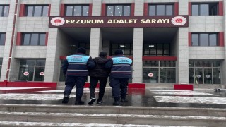 Hakkında 17 yıl hapis cezası bulunan şahıs Jandarma ekiplerince yakalandı