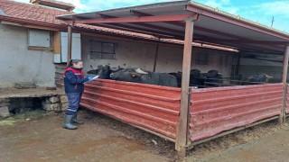 Halk Elinde Anadolu Mandasının Islahı Projesi devam ediyor