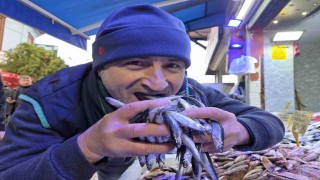 Hamsi revaçta