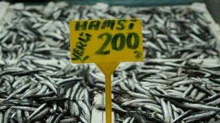 Hamside bolluk azaldı, fiyatı 200 TLye çıktı