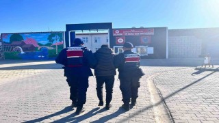 Hapis cezasıyla aranan şahsı jandarma yakaladı