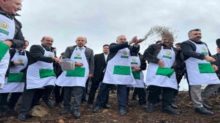 Harmancıkta yanan 4 bin 256 hektar alan ağaçlandırılıyor