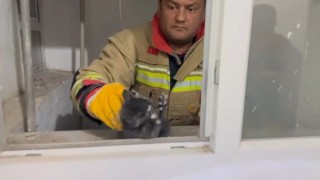 Hatayda havalandırma boşluğuna düşen yavru kedi kurtarıldı