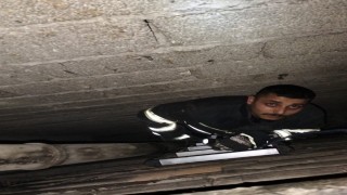 Havalandırma boşluğuna düşen yavru kediyi itfaiye kurtardı