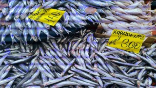 Havaların soğumasıyla balık tezgahlarında alışverişler hızlandı