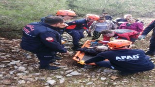 Hayvan otlatırken kayalıklardan düştü