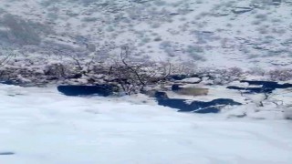 Hizanda kar yağışı, sürüyü hazırlıksız yakaladı