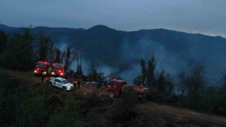 Hopadaki orman yangını söndürüldü, soğutma çalışmaları sürüyor