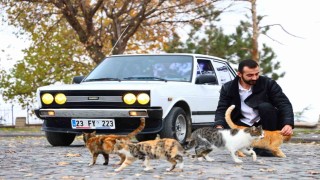 Horoz lakaplı bu araca galoşsuz binmek yasak