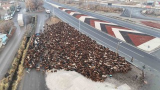 Iğdırlı göçerler, zorlu yolculuğun ardından Iğdıra ulaştı