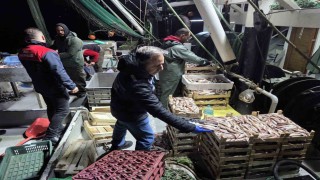 İğneada Balıkçı Barınağında su ürünleri denetimi
