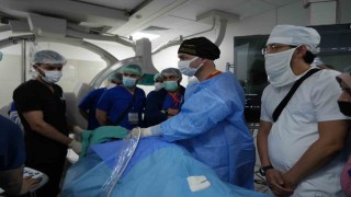 İğneyle tümör tedavisine uluslararası ilgi: Canlı canlı izlediler