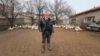 İstanbuldan memleketi Yozgata döndü, binlerce hayvan üreterek geçimini sağlıyor