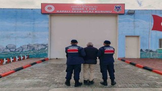 Jandarmanın yakaladığı 11 kişi tutuklandı