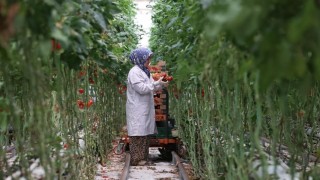 Jeotermal, 2025te yatırım uykusundan uyandı