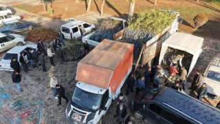 Kahramanmaraş Büyükşehir’den Üreticiye Yüzde 50 Hibeli Fidan Desteği