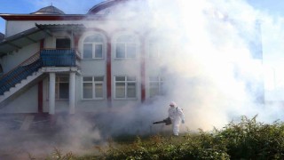 Kahverengi kokarca kışlak mücadelesi sürüyor