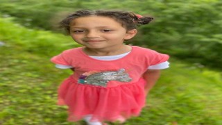 Kaldırımda yürürken dehşeti yaşamışlardı minik Elif yaşam mücadelesini kaybetti