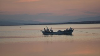 Karacabeyde çeltik ekimi yasaklandı