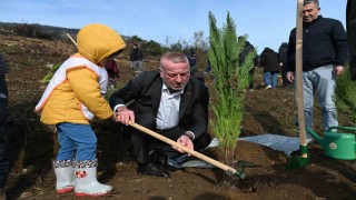 Karacabeyde yangın sonrası ilk fidanlar toprakla buluştu